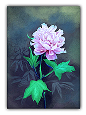 Moon Peony On Dark Background Art Painting